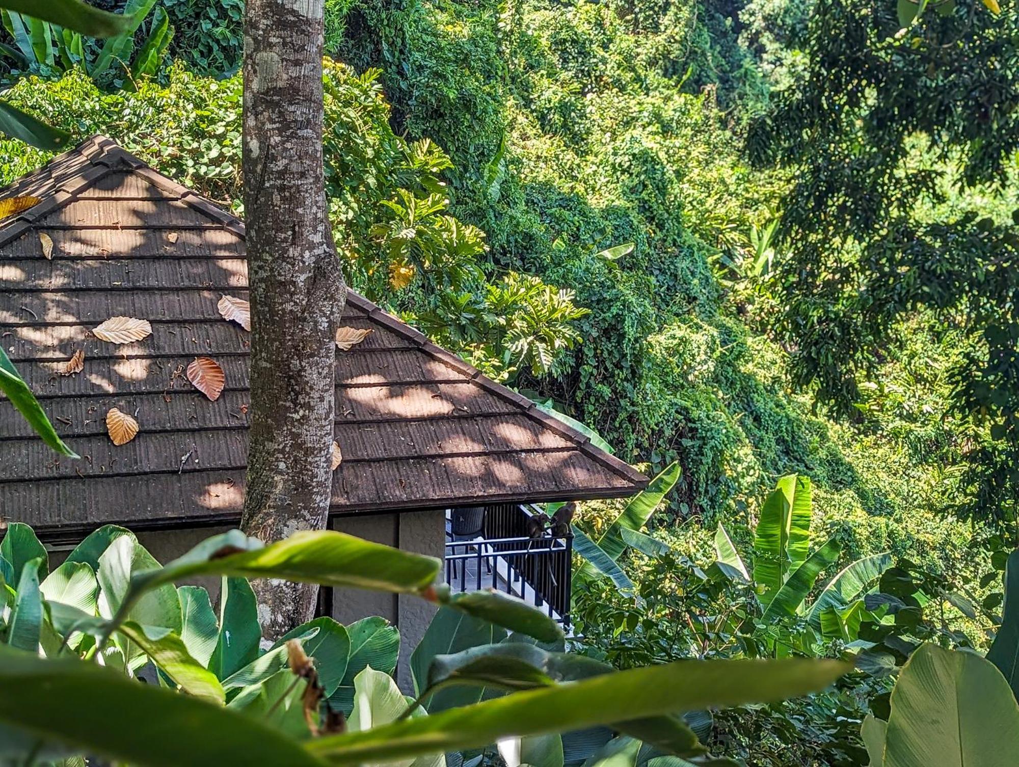 Perch El Nido'S Seaview Villas Overlooking Marimegmeg Exterior foto